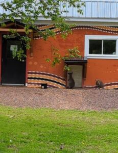 Wallabies at the Magnetic Hill Zoo, Moncton NB